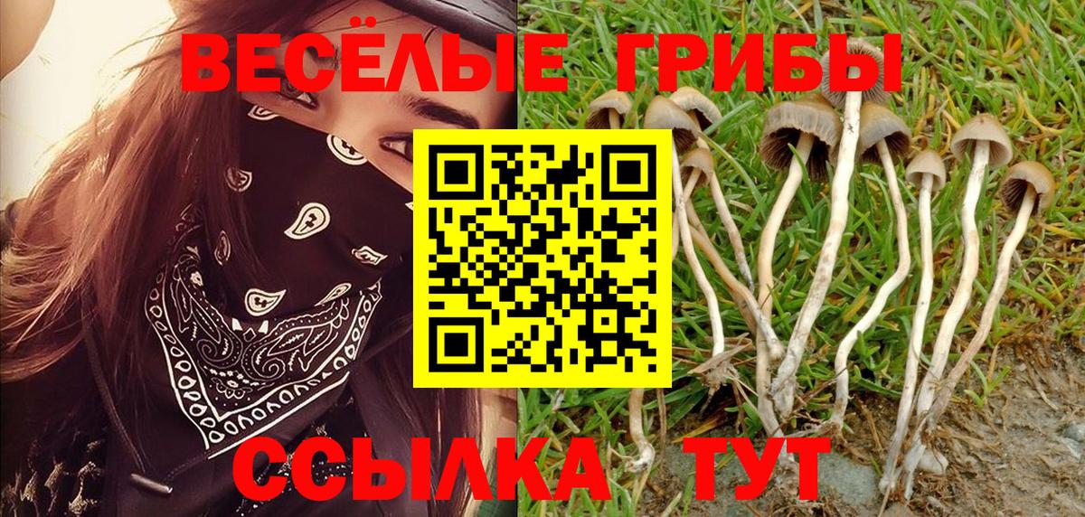 Псилоцибиновые грибы мухоморы  Вход с VPN  наркота  Псилоцибиновые грибы мухоморы  Нарткала 